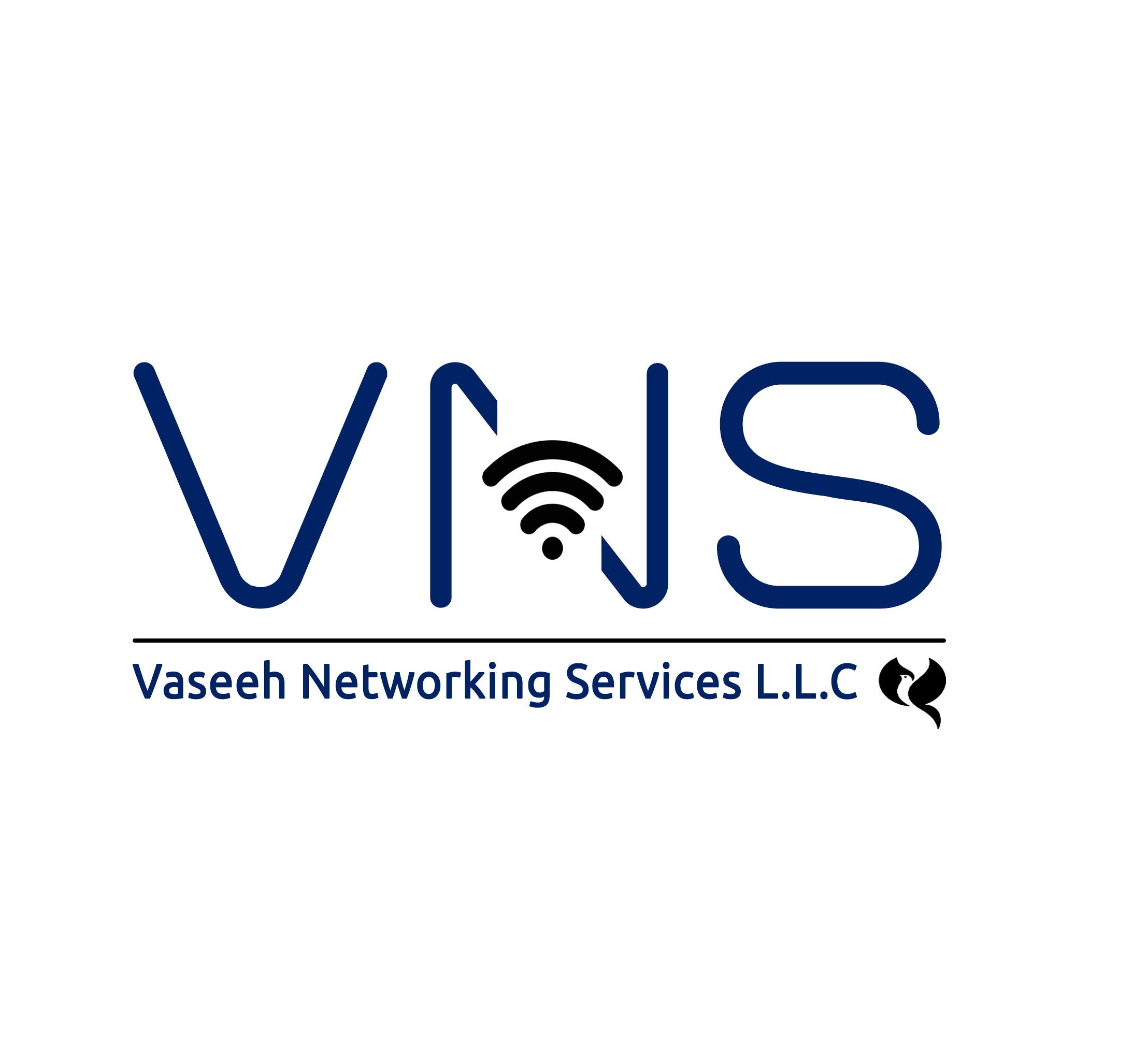 VNS — Networking, Cloud & IT Solutions